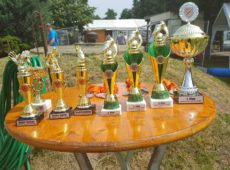 SSV Sportfest 2016 – Bild 1